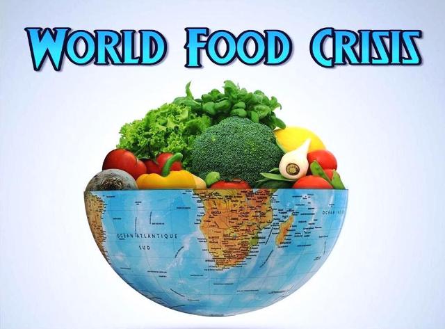 world-food-crisis-copy-advent-messenger